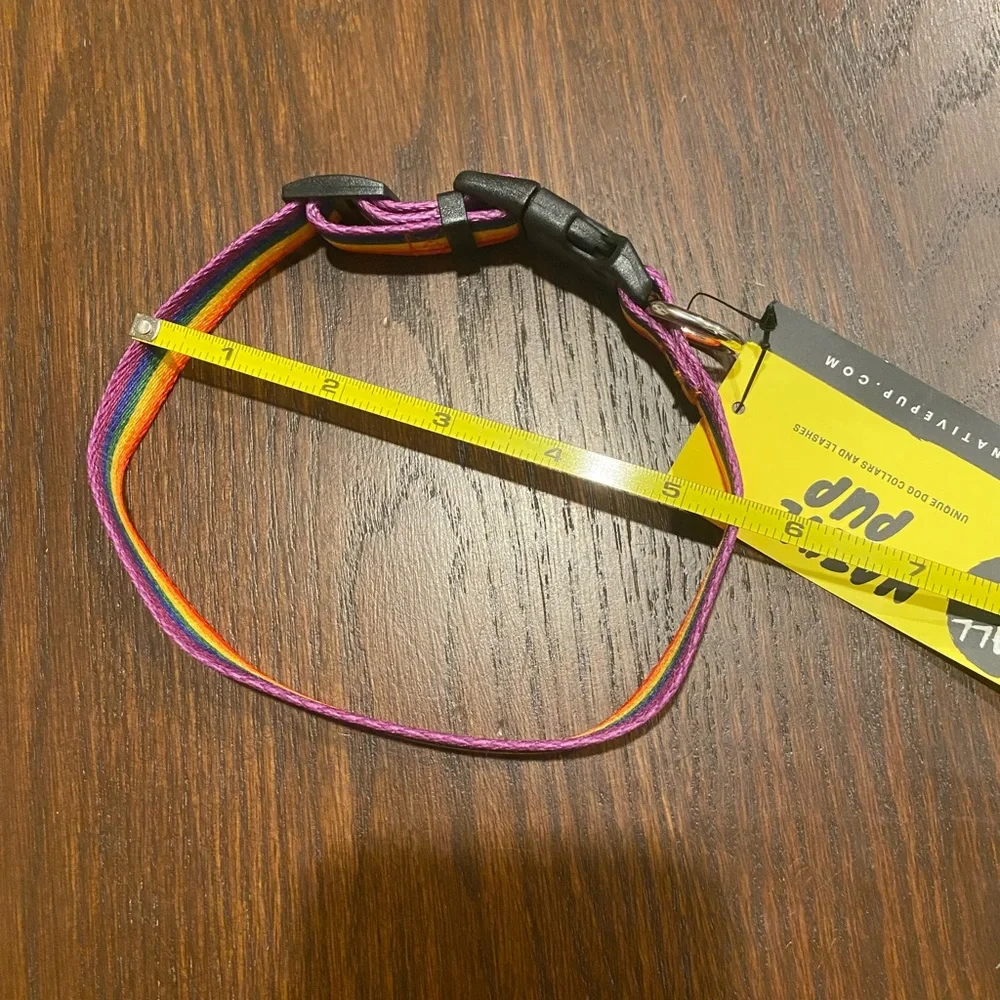 🌈 Rainbow Small Dog Collar 🌈 🐶
